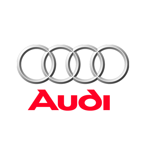 Huse auto dedicate Audi